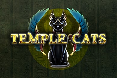 Играть в Templecats Олл Ин Казино